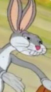 Meet your Posher, Doug